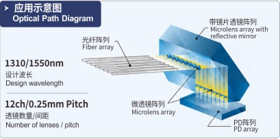 光纤阵列、带反射镜透镜阵列、微透镜阵列及 PD 阵列光路示意图